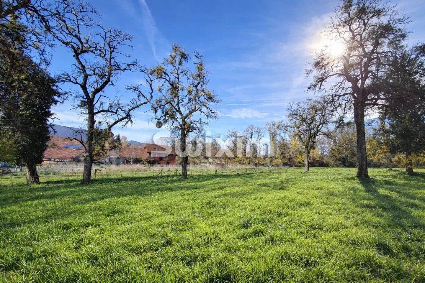 Maison à vendre, 107m², Contamine-sur-Arve