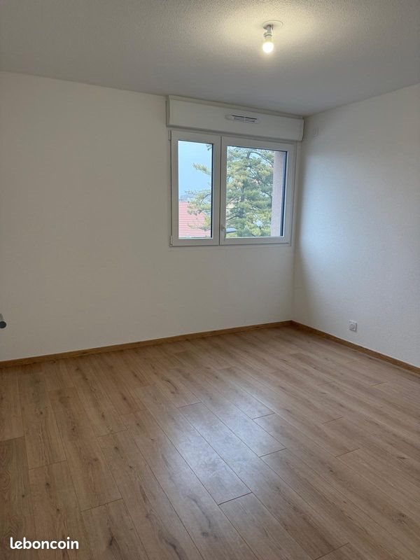 Appartement à louer, 61m², Riedisheim