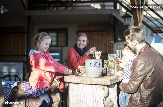 Appartement à louer, 45m², Morschwiller