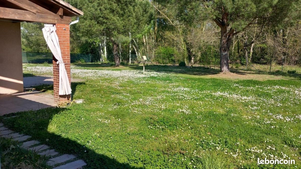 Maison à louer, 129m², Roques