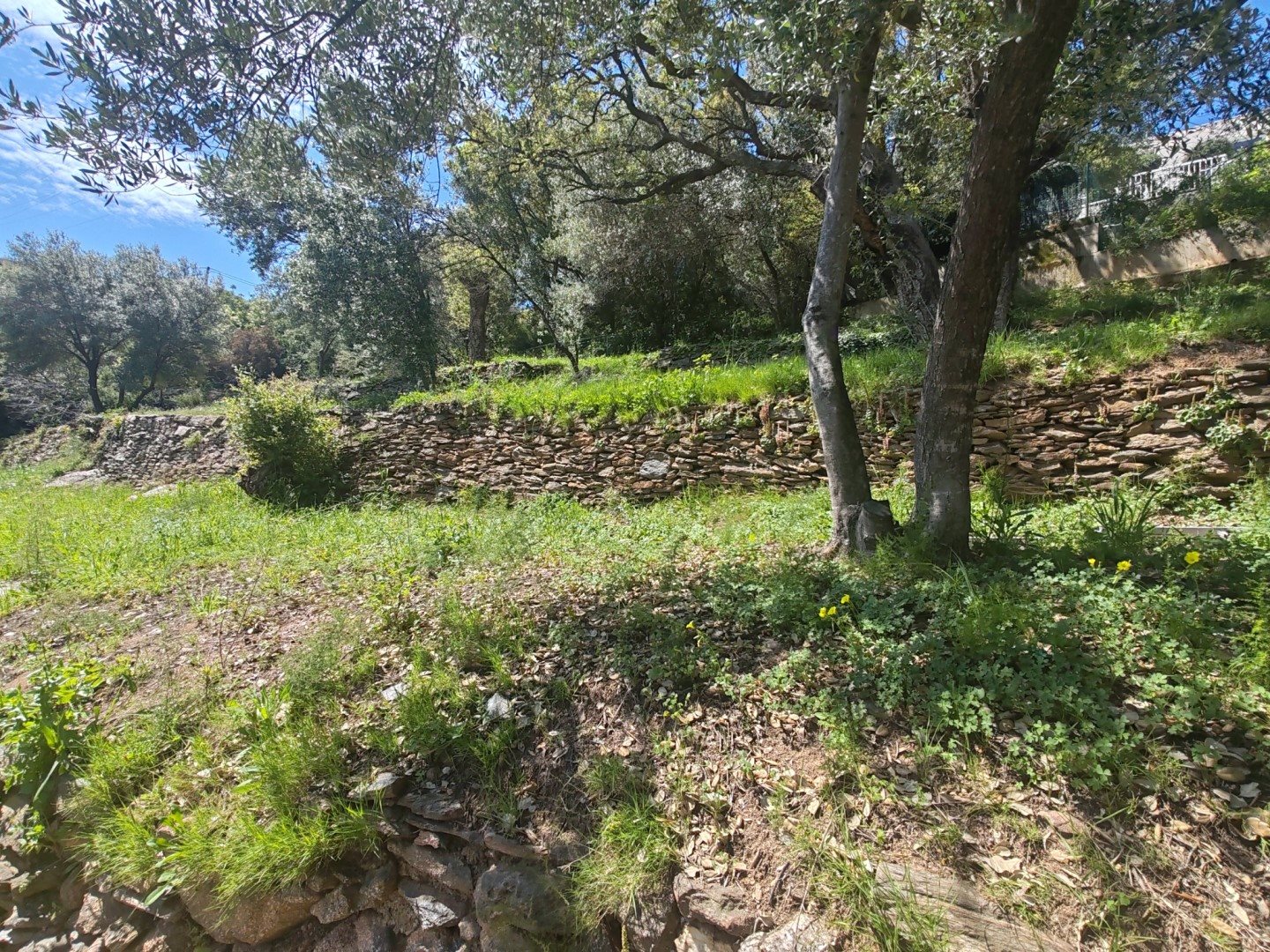 Maison à vendre, 120m², Bastia