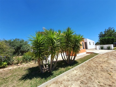 Projeto: Quinta com 2 casas e anexo com grande terreno de 3 ha perto de Luz de Tavira