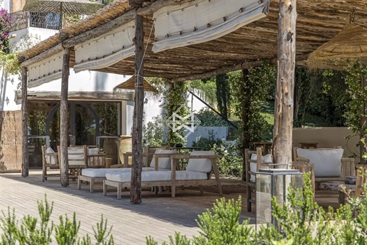 Exceptional property in Mougins