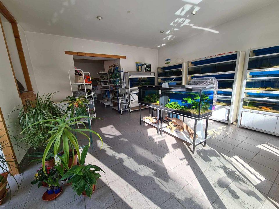 Maison à vendre, 180m², Pauillac