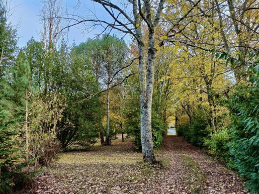 Maison, Chalet, terrain boisé