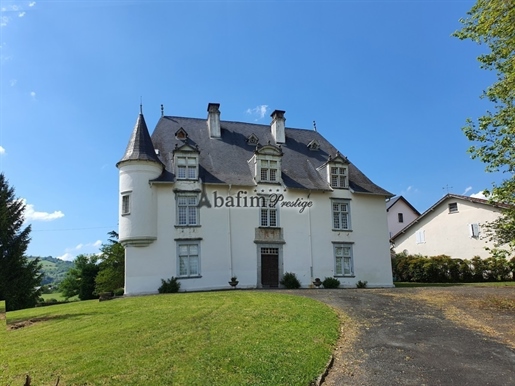 Château on 7,9 hectares