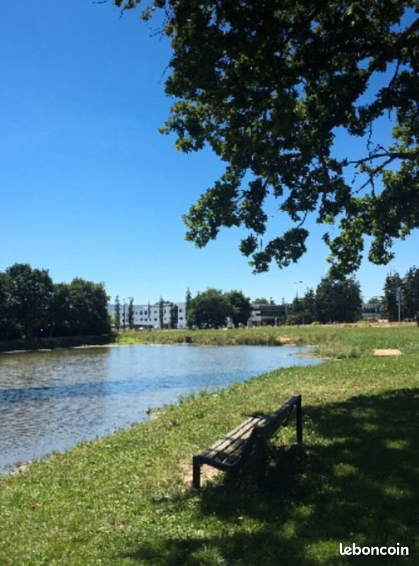 Appartement à louer, 18m², Bruz