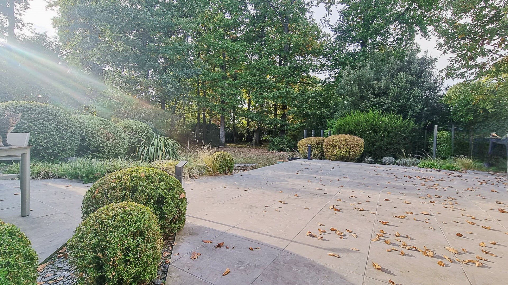 Maison à vendre, 263m², Avrillé