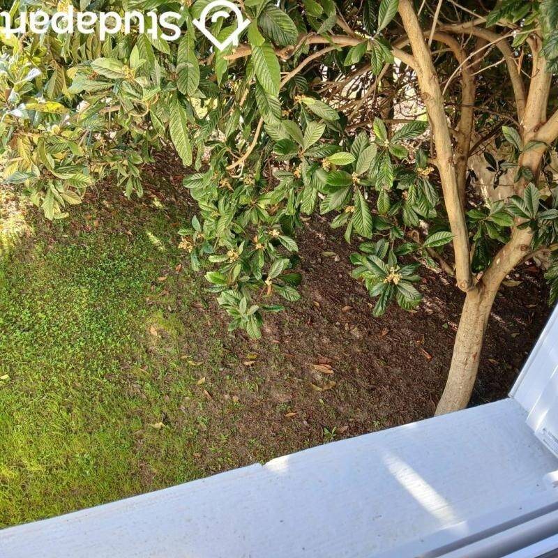 Maison à louer, 56m², Vitry-sur-Seine