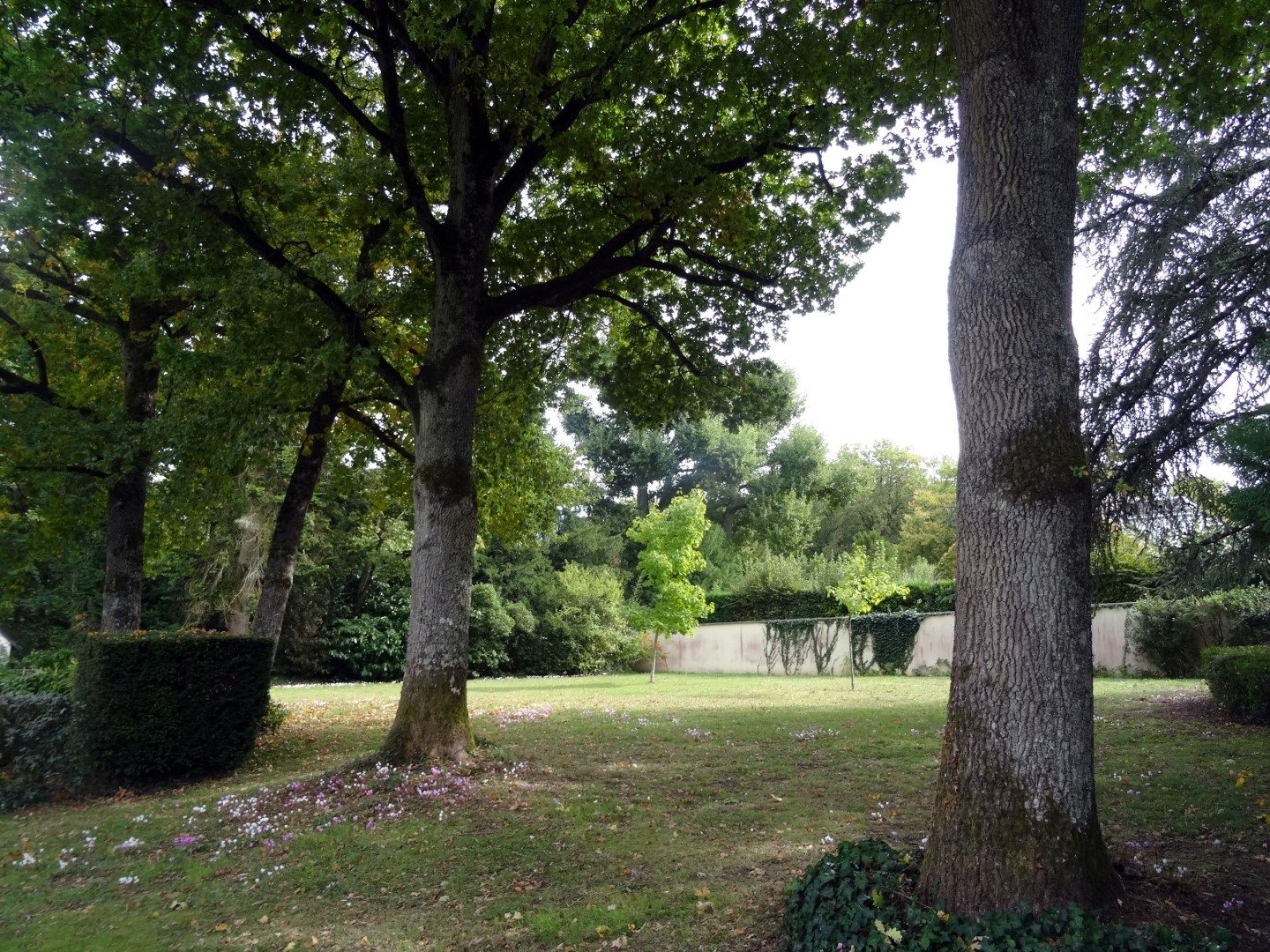 Appartement à vendre, 400m², Tours