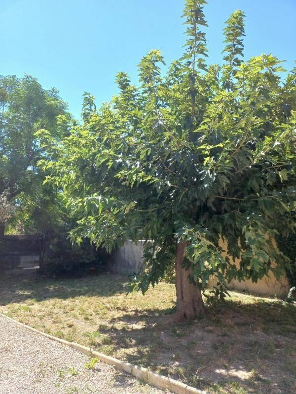 Maison à louer, 84m², Le Thor