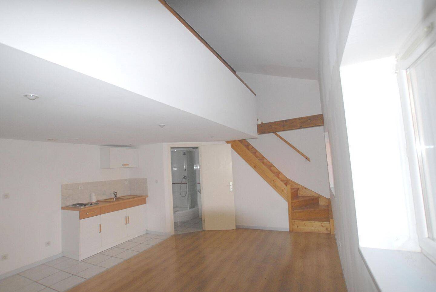 Appartement à louer, 39m², Givors