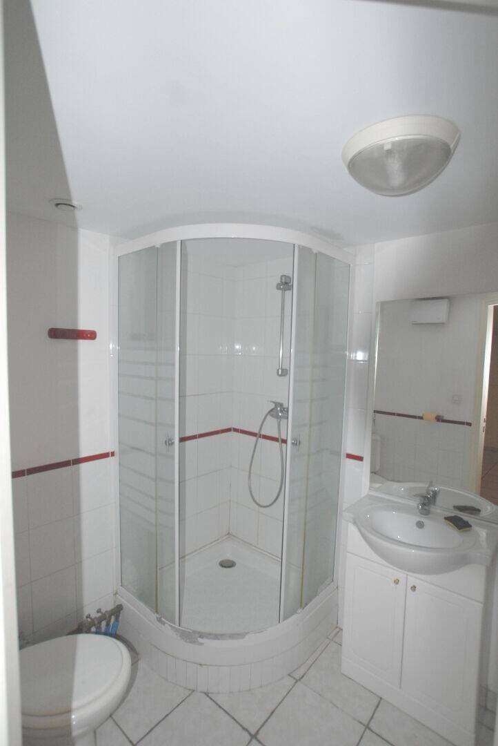 Appartement à louer, 39m², Givors