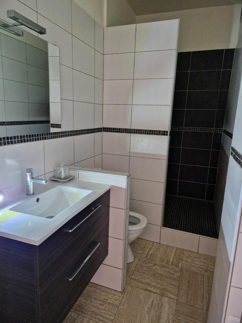 Appartement à louer, 47m², Saint-Etienne