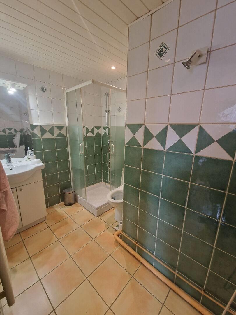 Appartement à louer, 27m², Saint-Etienne