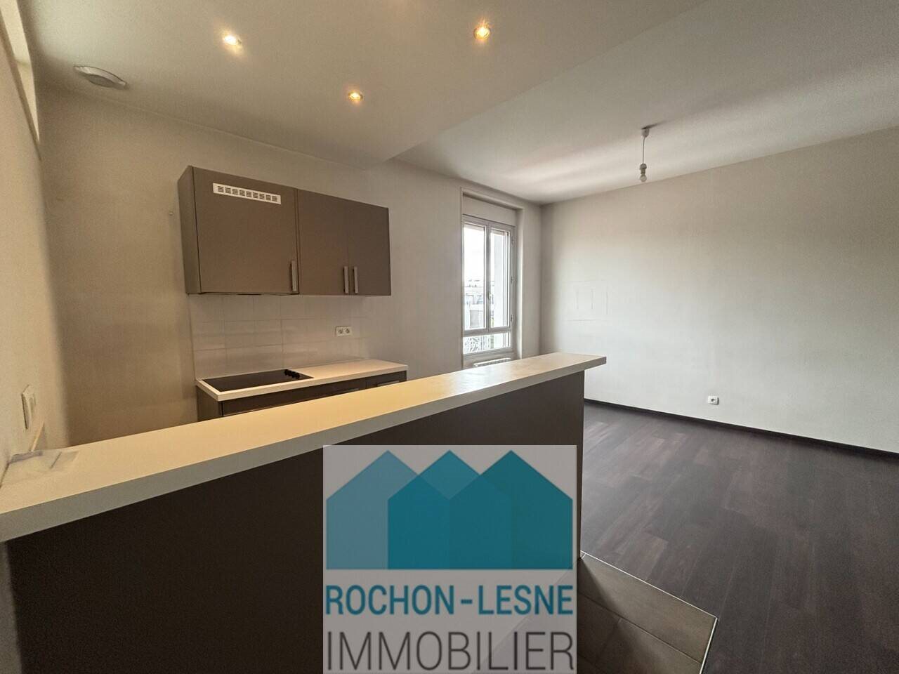 Appartement à louer, 54m², Lyon 7ème