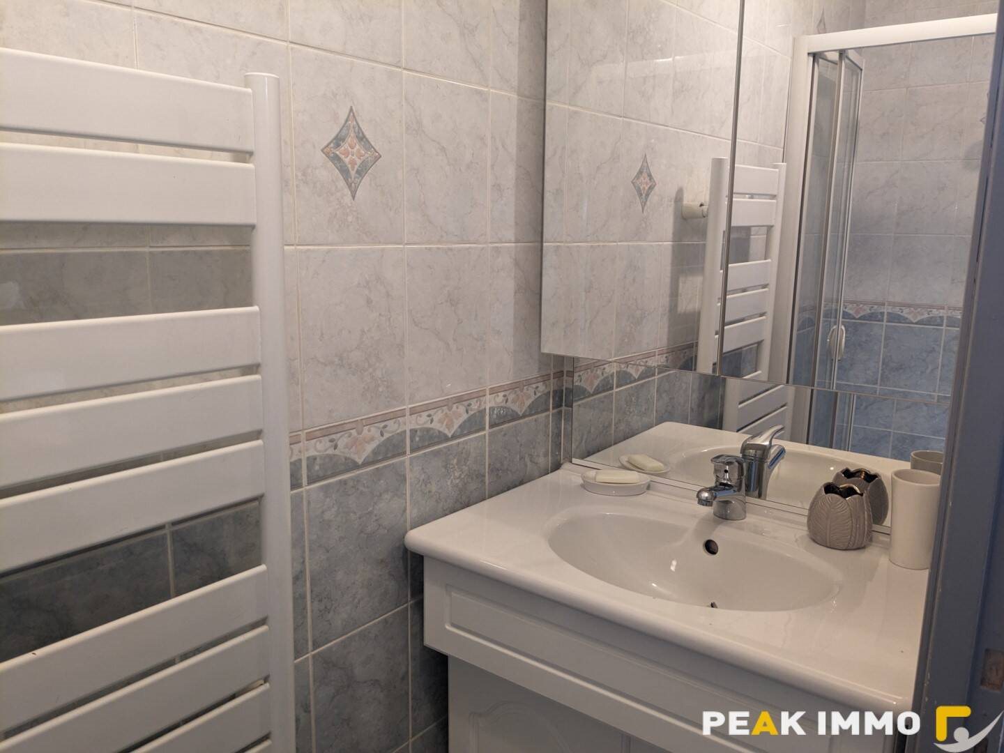 Appartement à louer, 19m², Argonay