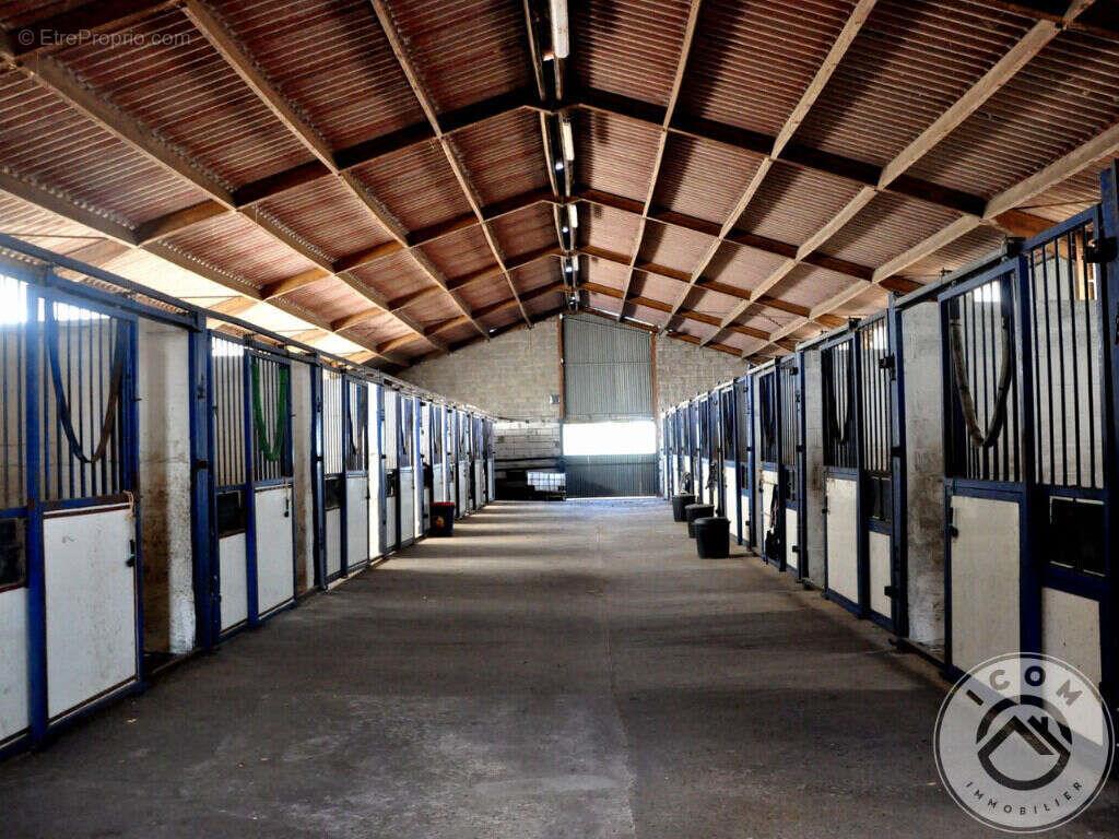 Appartement à vendre, 180m², Warhem