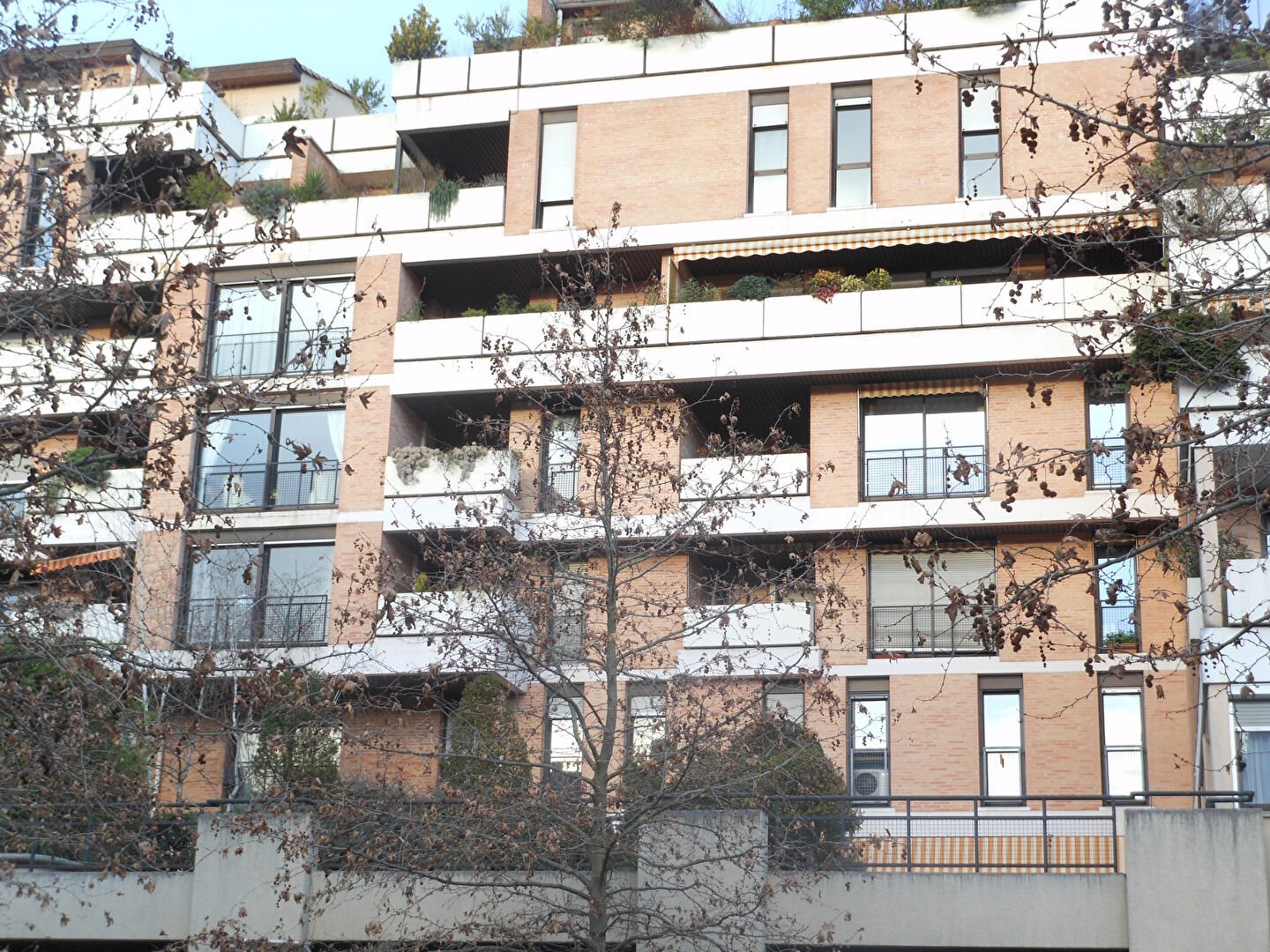 Appartement à louer, 39m², Montauban