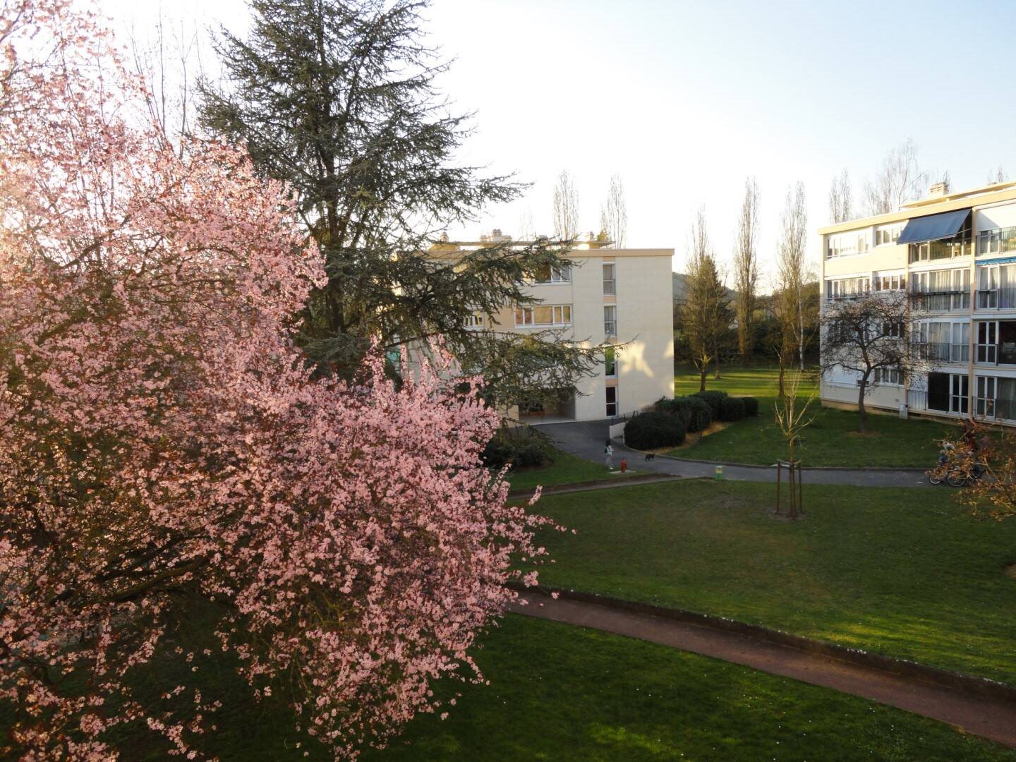 Appartement à louer, 34m², Gif-sur-Yvette