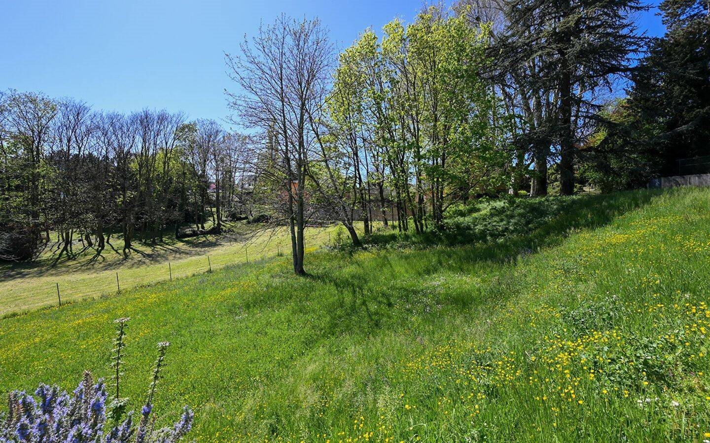 Maison à louer, 183m², Saint-Cyr-au-Mont-d'Or