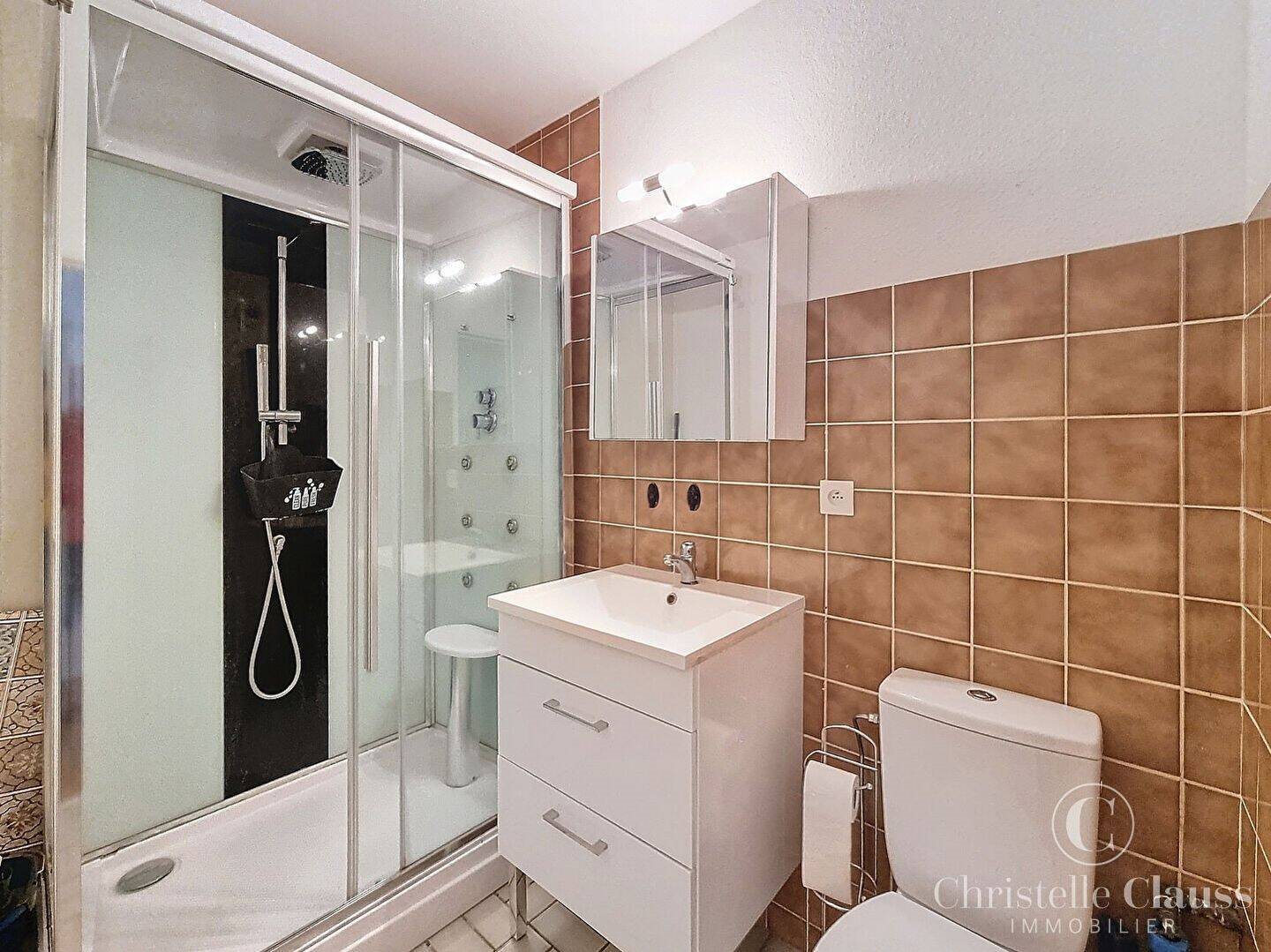 Appartement à louer, 29m², Erstein