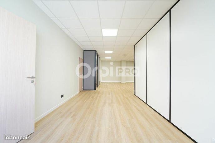 Maison à louer, 233m², Villeurbanne