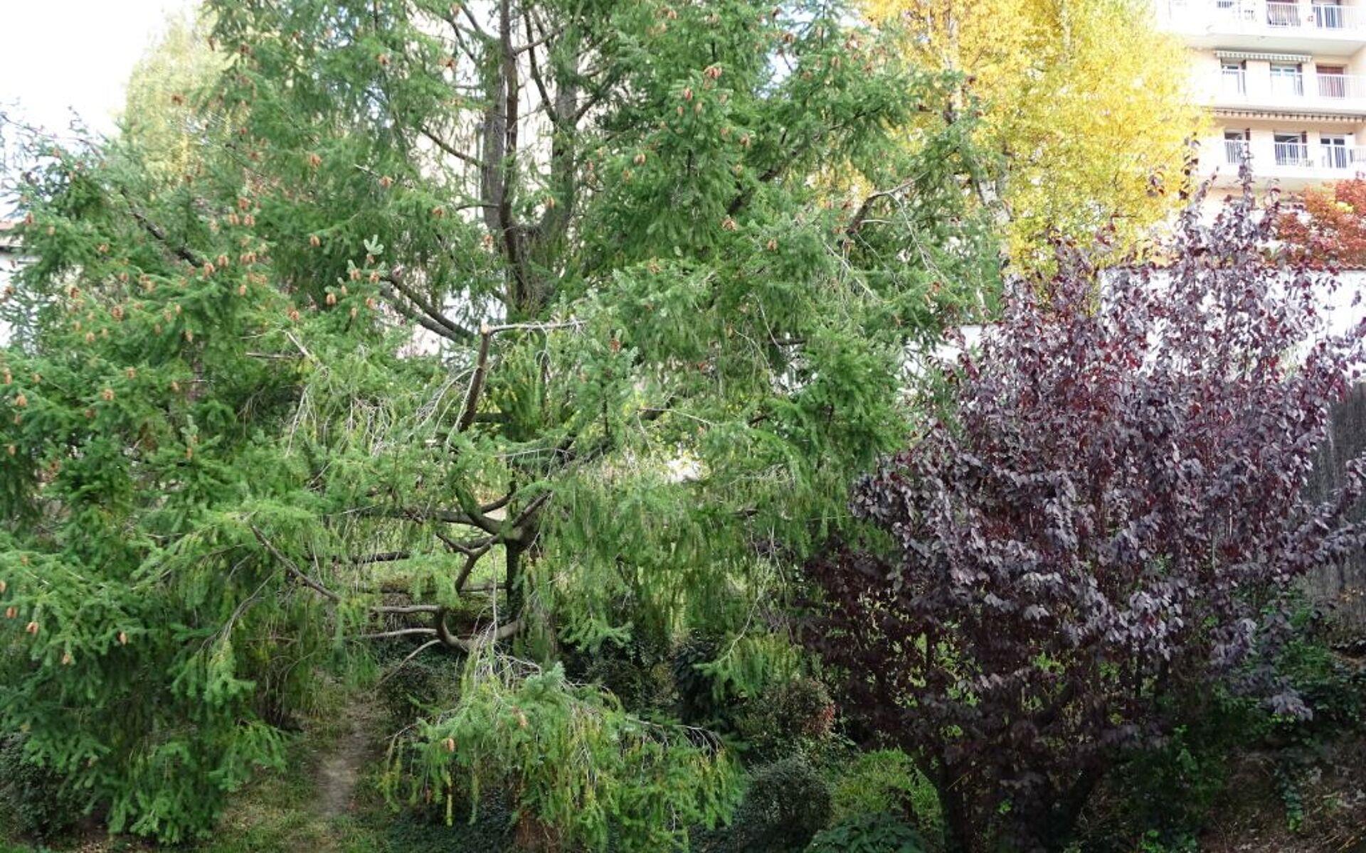 Appartement à vendre, 47m², Saint-Etienne