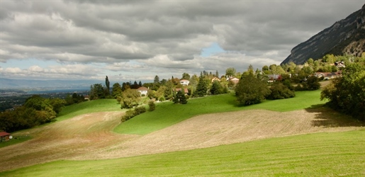 Advert picture