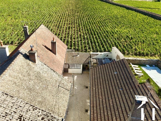 Groot huis met uitzicht op de wijngaarden van Pommard