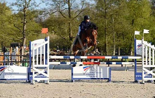 Maison à vendre, 240m², Villemer