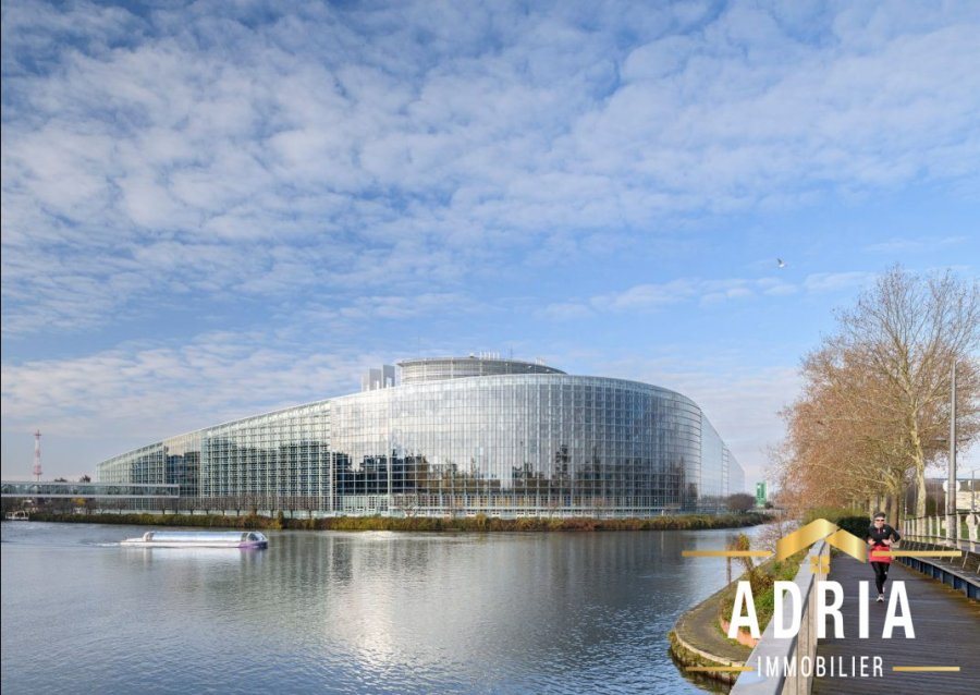 Appartement à vendre, 37m², Strasbourg