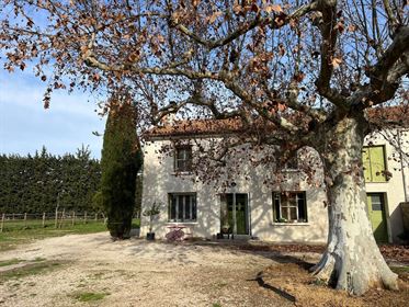 Propriété équestre à vendre entre Avignon et Saint Rémy de Provence avec 2 hectares de paddocks, han