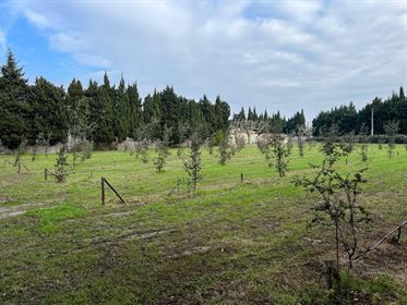 Old farmhouse to restore for sale between Avignon and Saint Rémy de Provence with 1.6 hectare land