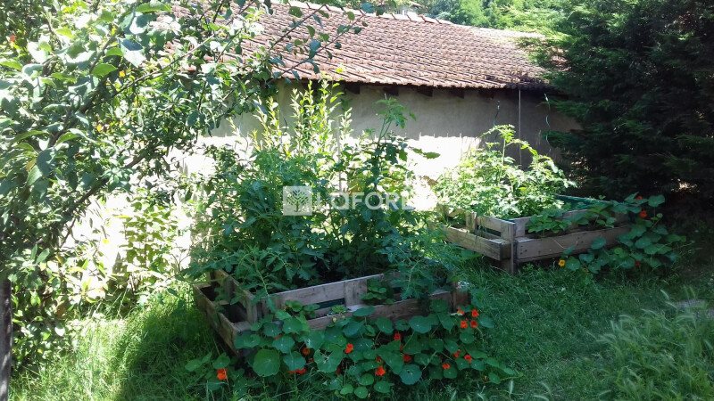 Maison à louer, 150m², Neuville-sur-Saône