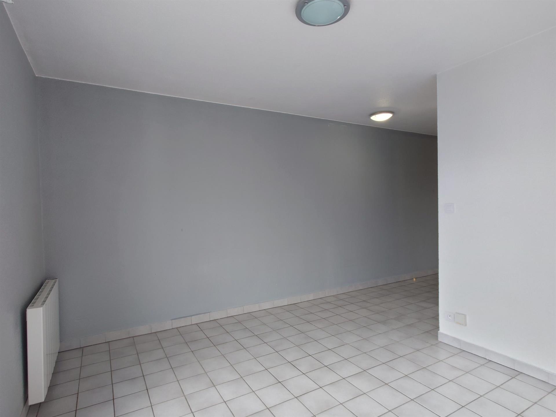 Appartement à vendre, 19m², Grenoble