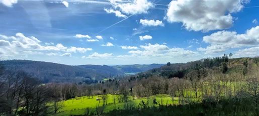 56 km from Belfort – 11Ha – Nature Pure – La Paix – 1000 Etangs