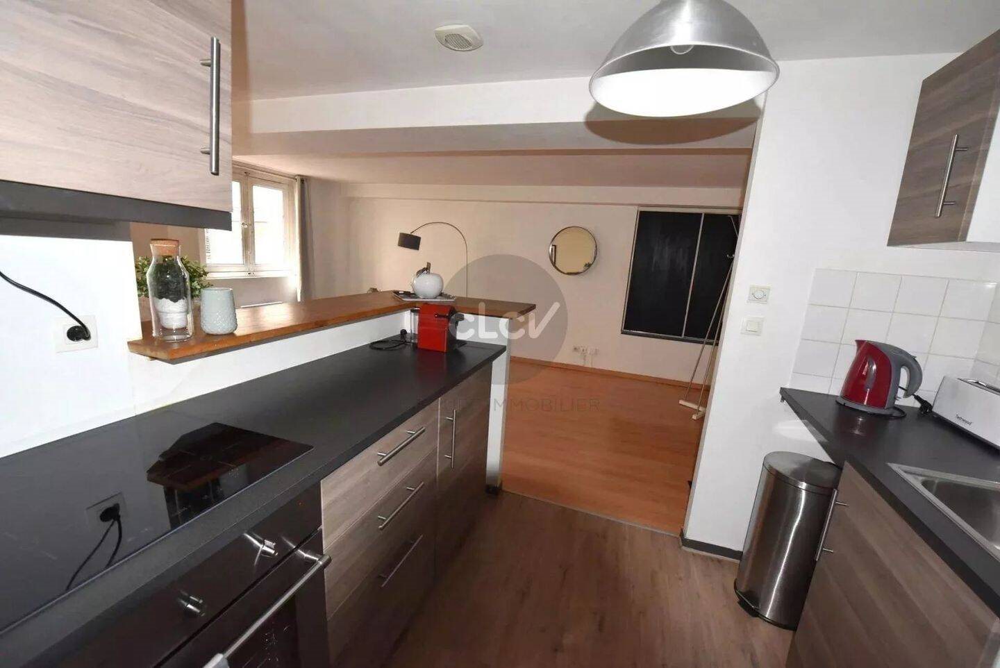 Appartement à louer, 50m², Lyon 6ème