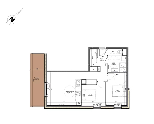 Montriond- brand new 2 bedroom mountain view apartment with terrace and parking