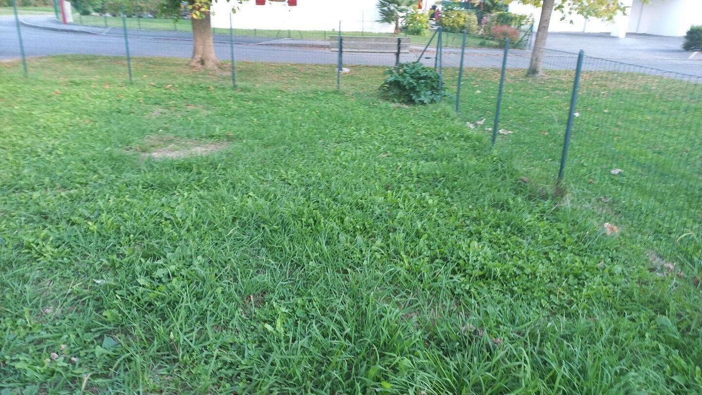 Maison à louer, 93m², Saint-Palais