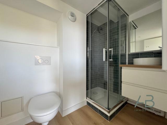 Appartement à vendre, 25m², Lille