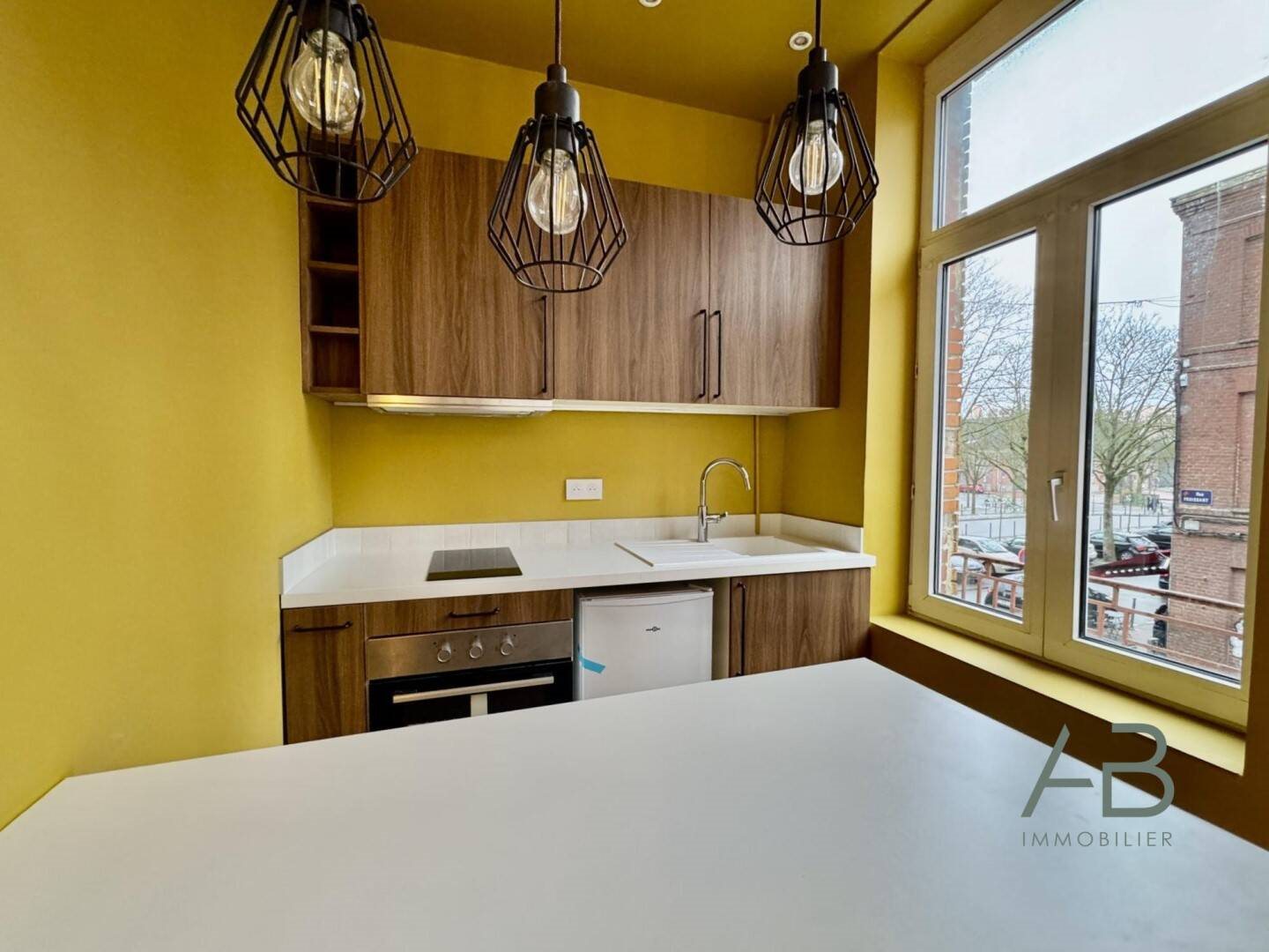 Appartement à vendre, 36m², Lille