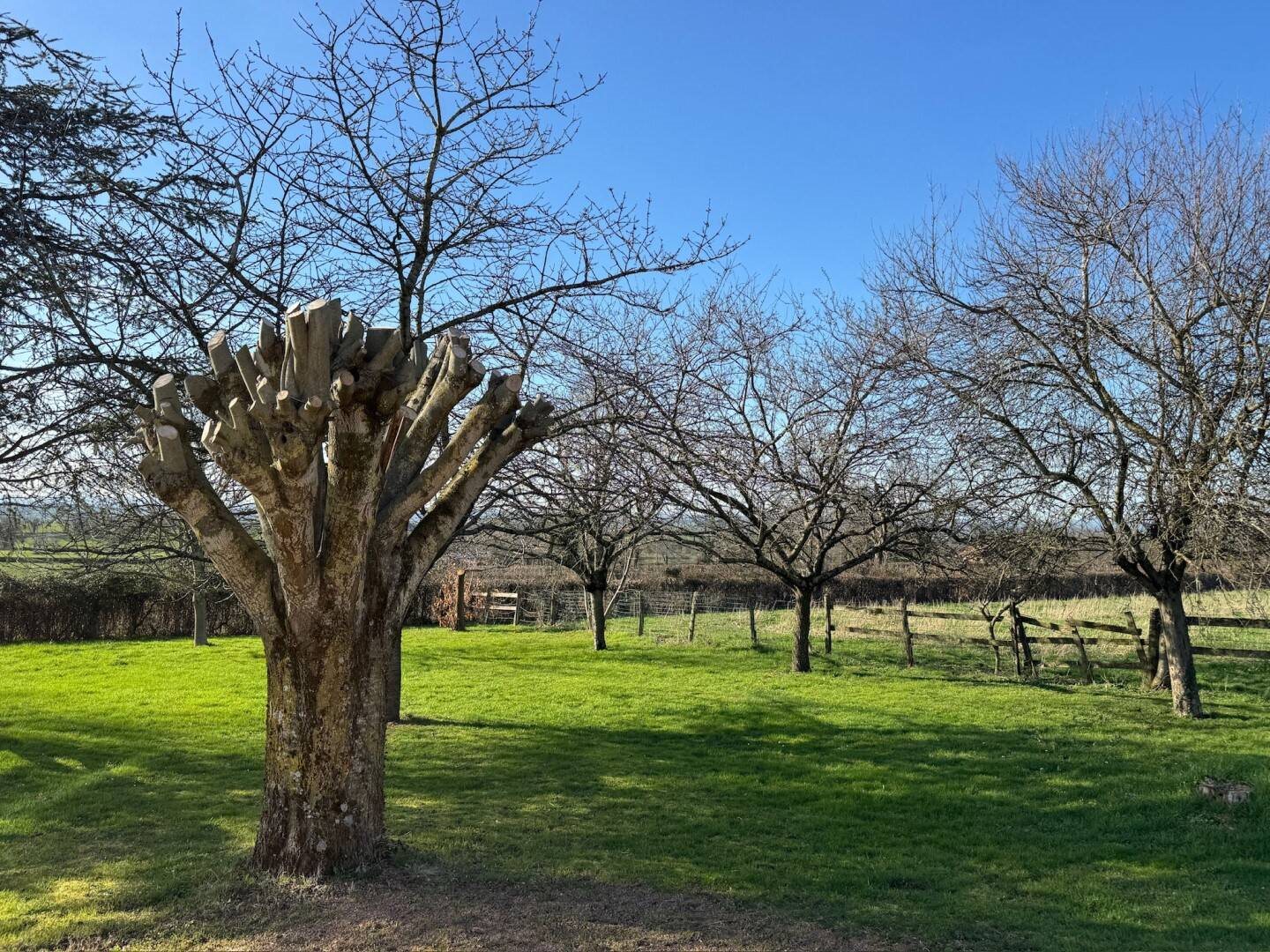 Maison à vendre, 150m², Paray-le-Monial