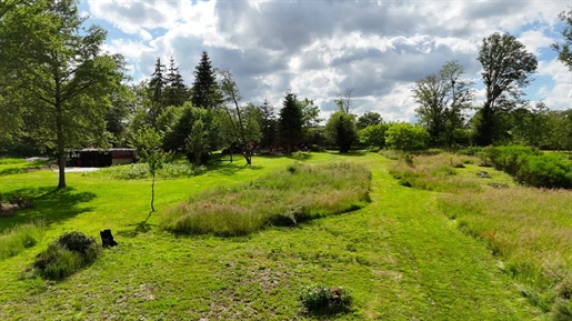 Property with gite and 3 hectares