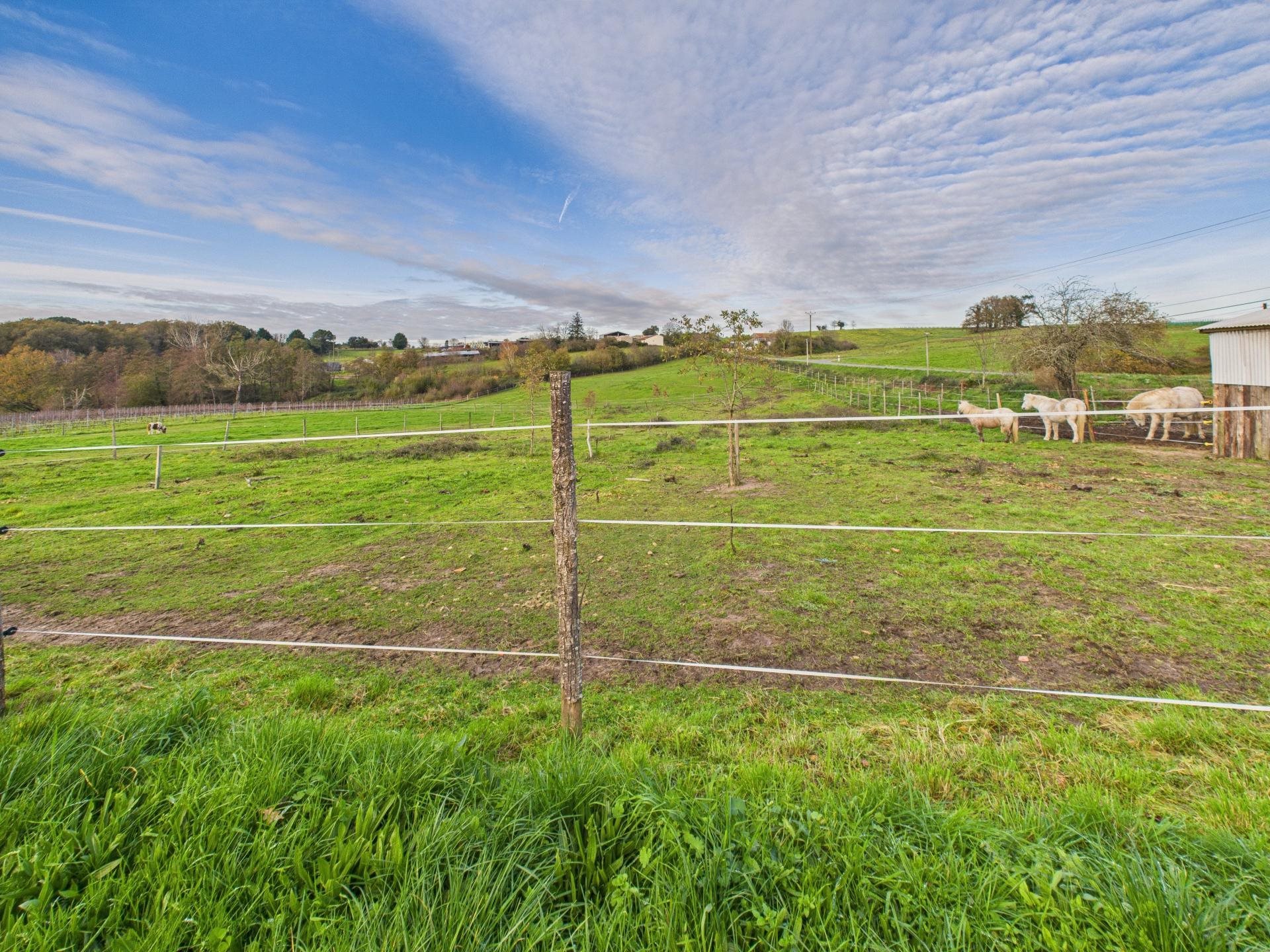 Maison à vendre, 132m², Mirambeau