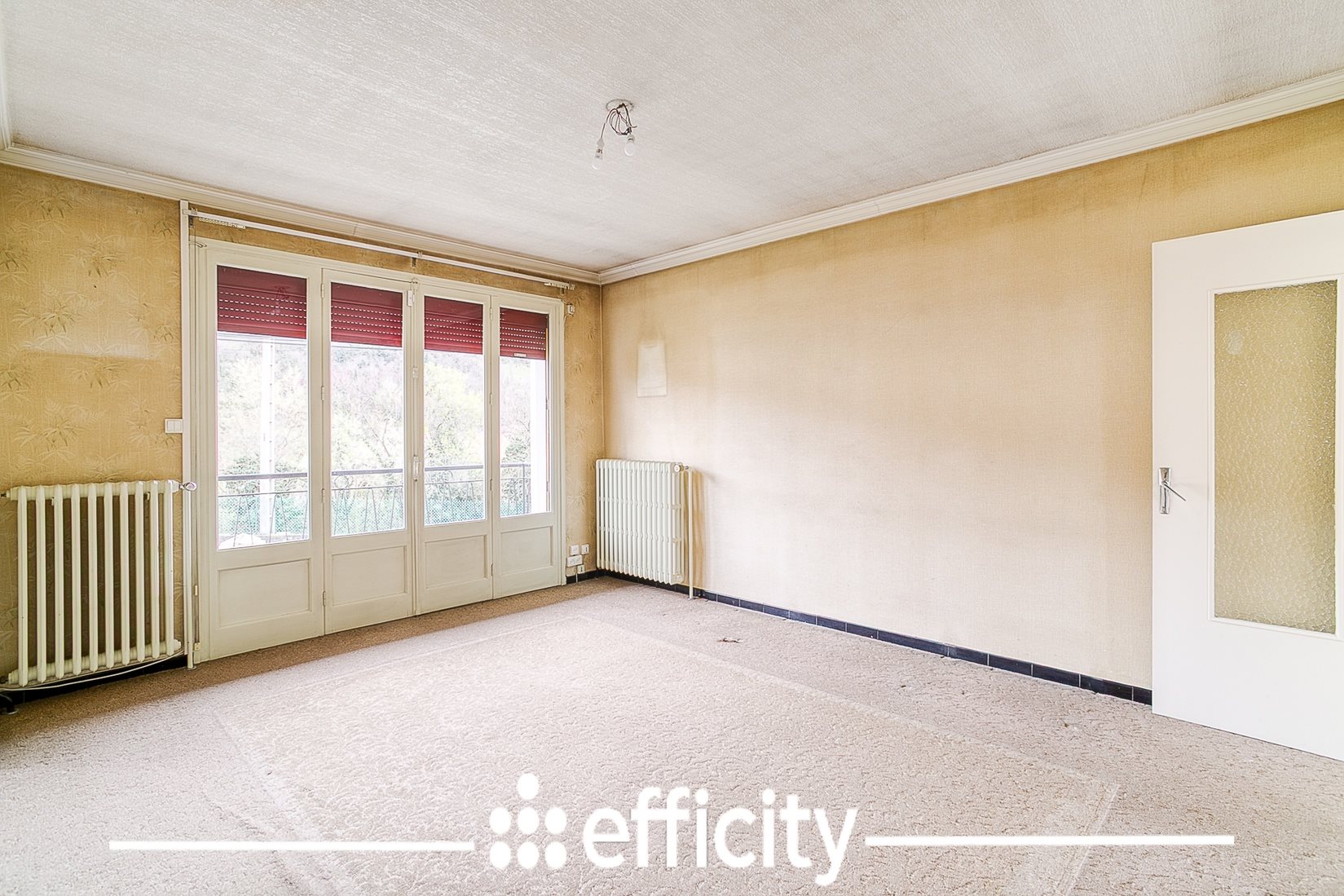 Maison à vendre, 79m², Chasse-sur-Rhône