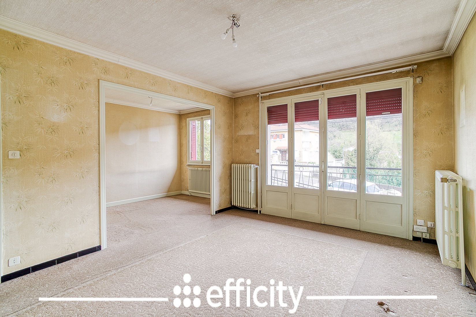 Maison à vendre, 79m², Chasse-sur-Rhône
