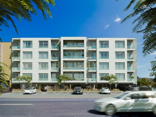 Additional image 13 of Ribeira Brava