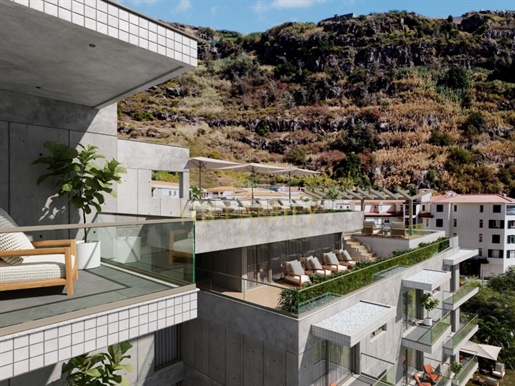 Additional image 15 of Ribeira Brava