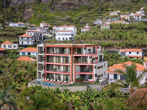 Additional image 11 of Ponta Do Sol (Ponta do Sol)